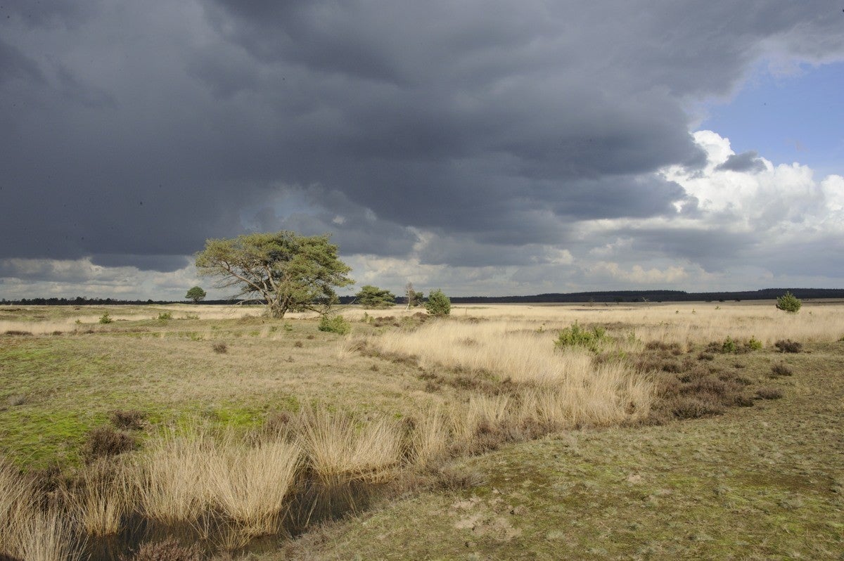 Heidebeek_HV_008.jpg