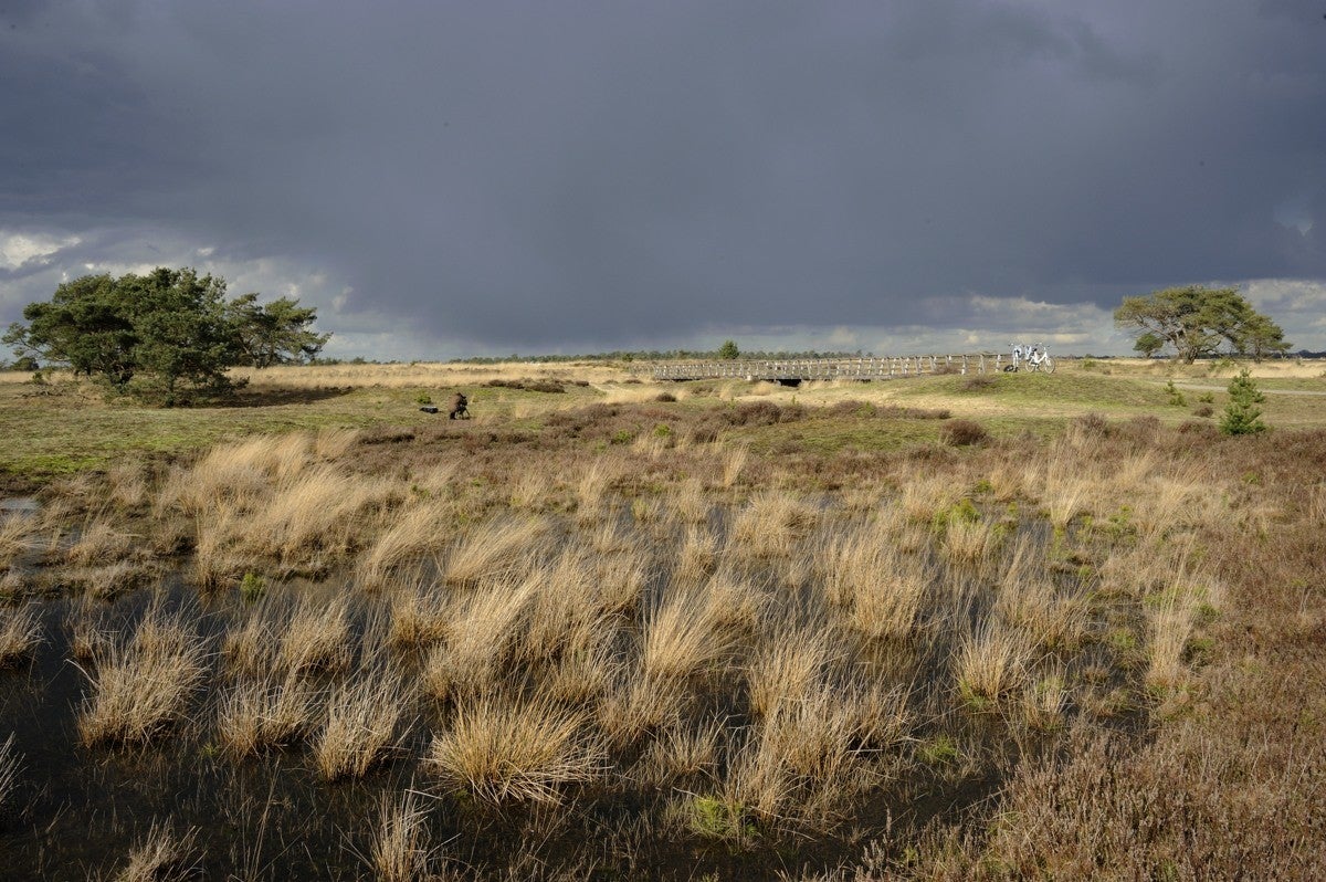 Heidebeek_HV_011.jpg