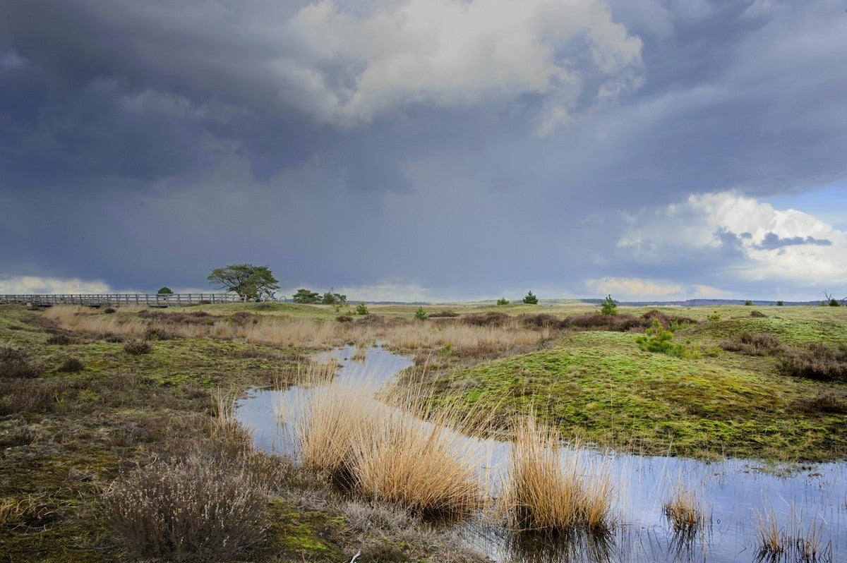 Heidebeek_HV_019.jpg
