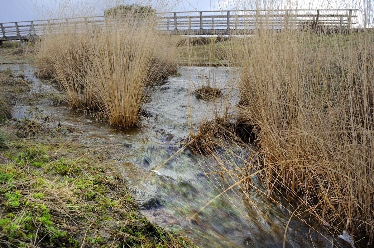 Heidebeek_HV_021.jpg