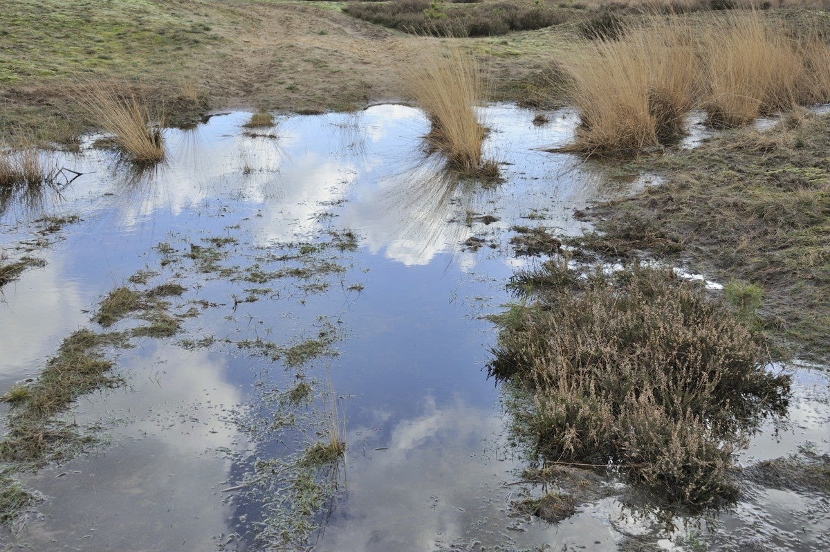 Heidebeek_HV_023.jpg