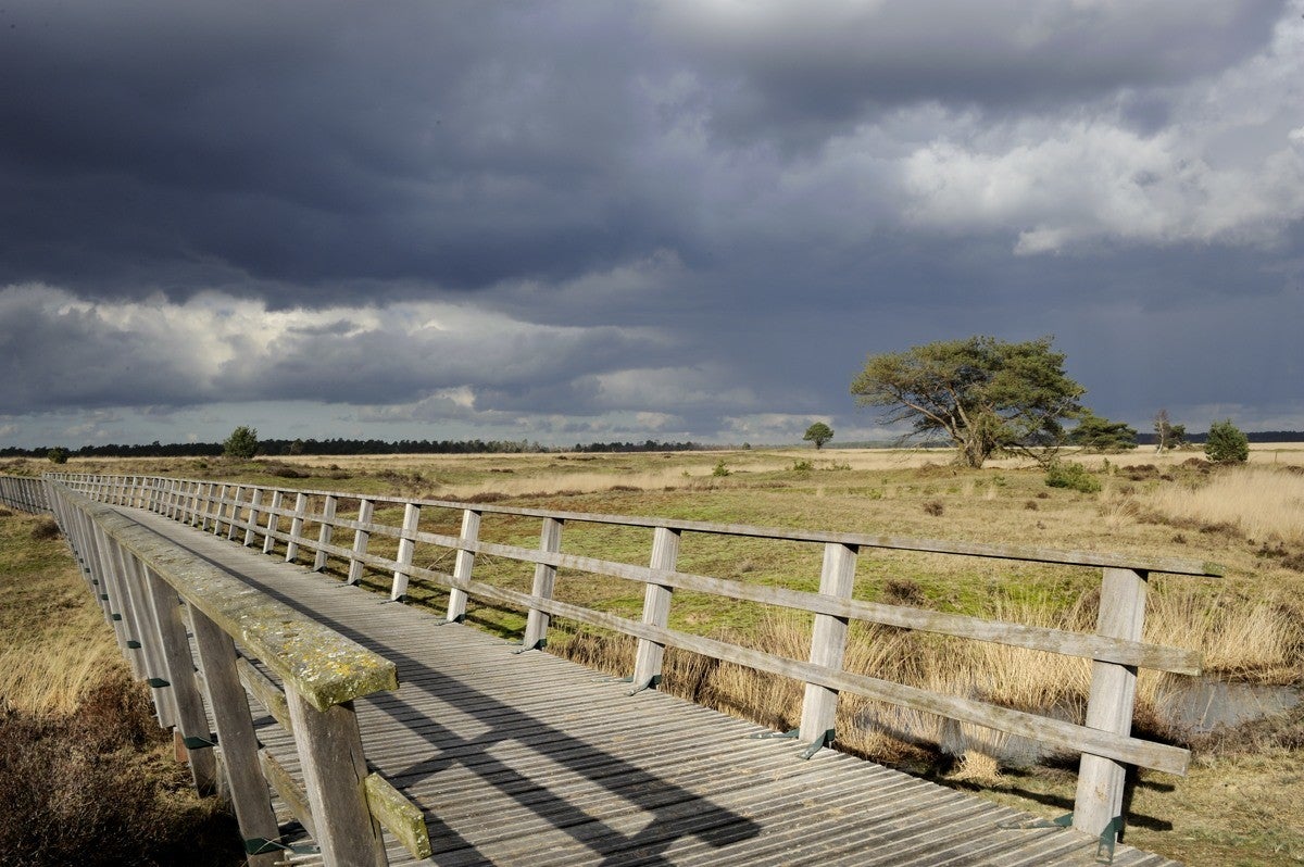 Heidebeek_HV_025.jpg