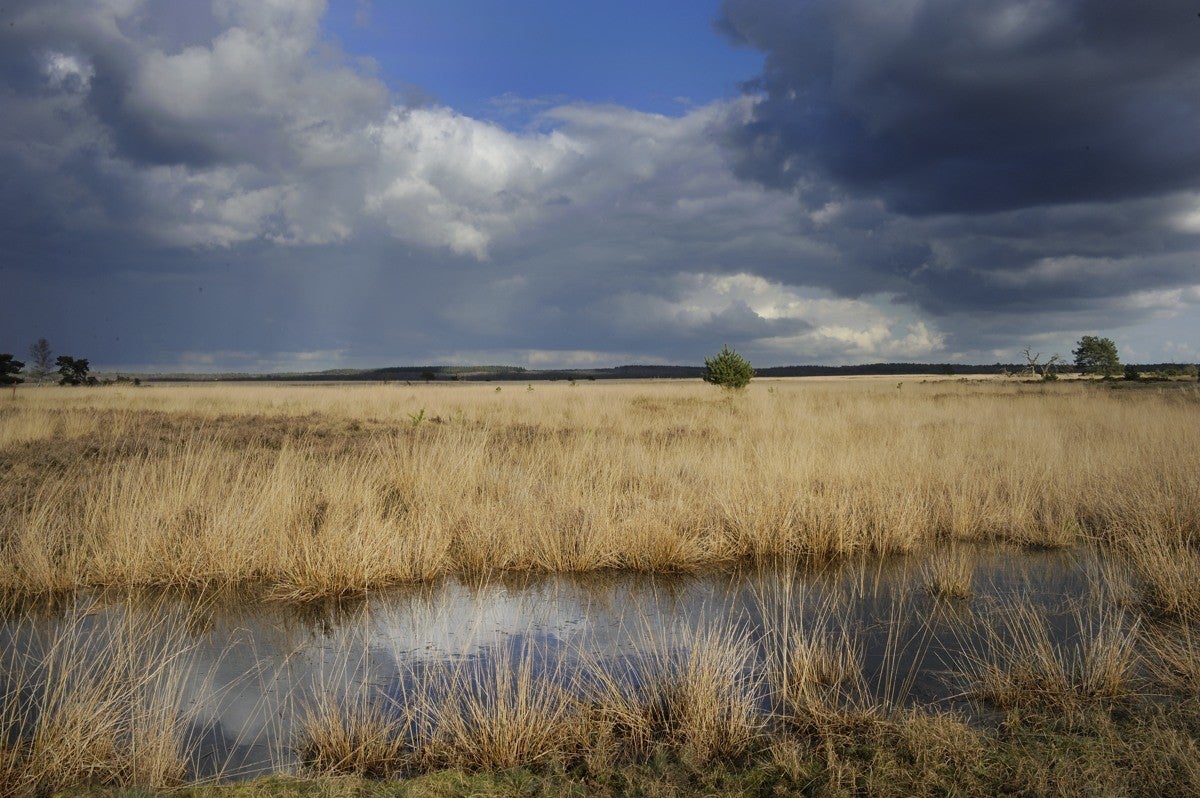 Heidebeek_HV_027.jpg