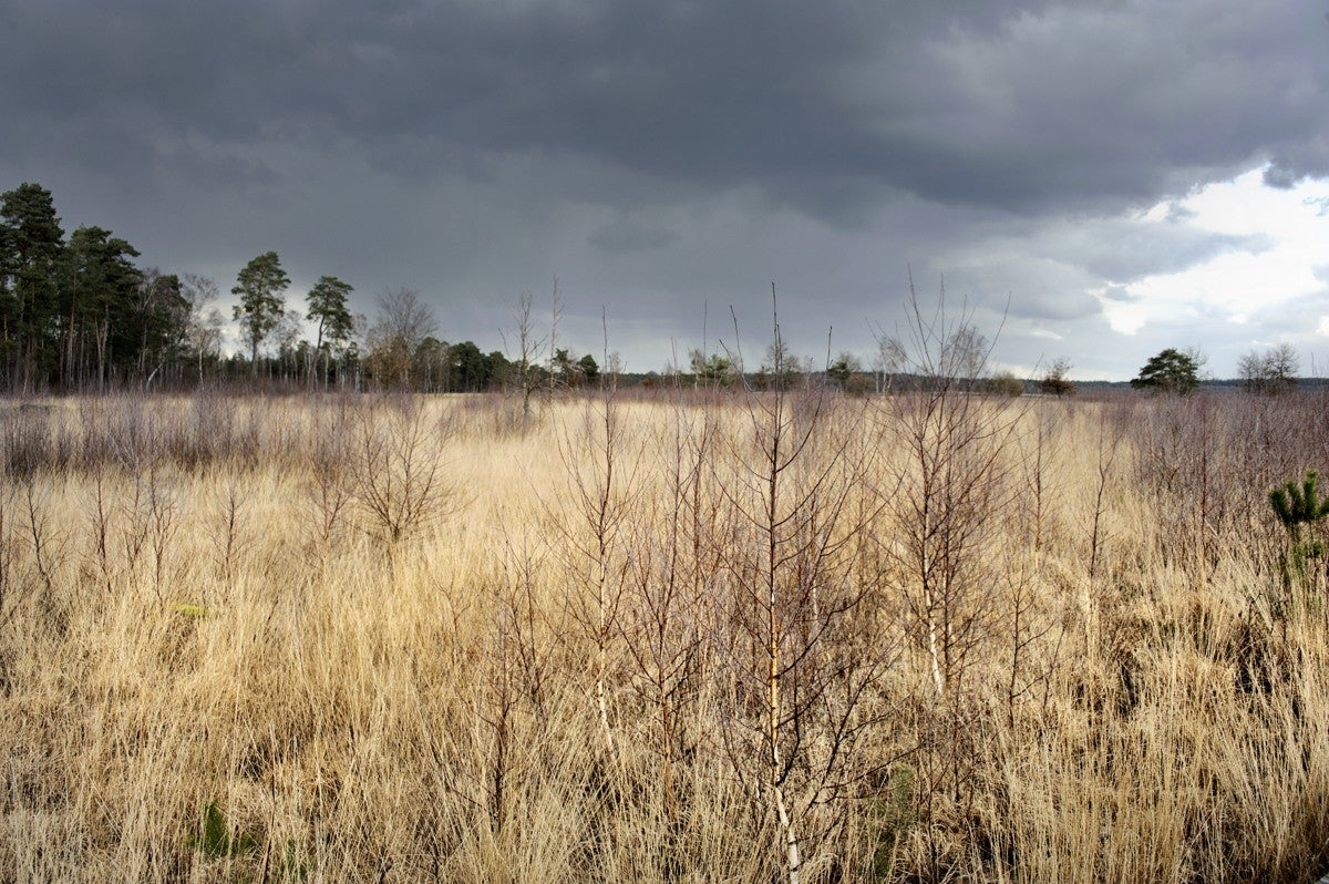 Heidebeek_HV_033.jpg