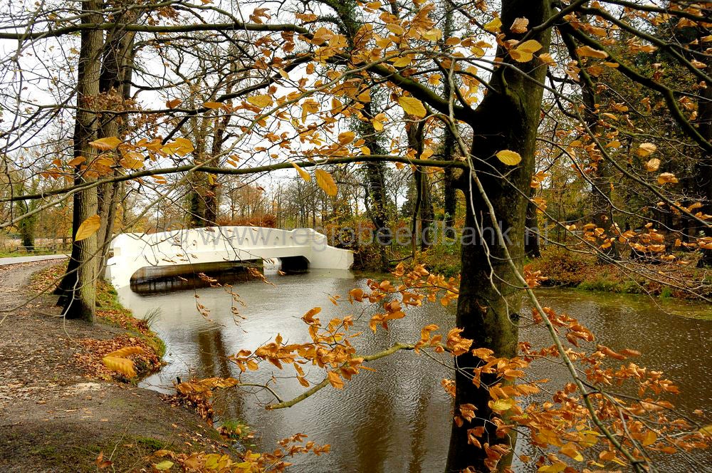 Heiligenbergerbeek_3008.jpg