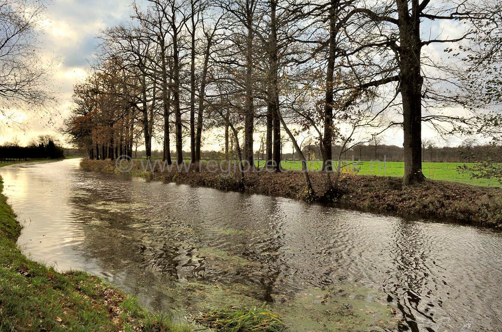 Heiligenbergerbeek_3020.jpg