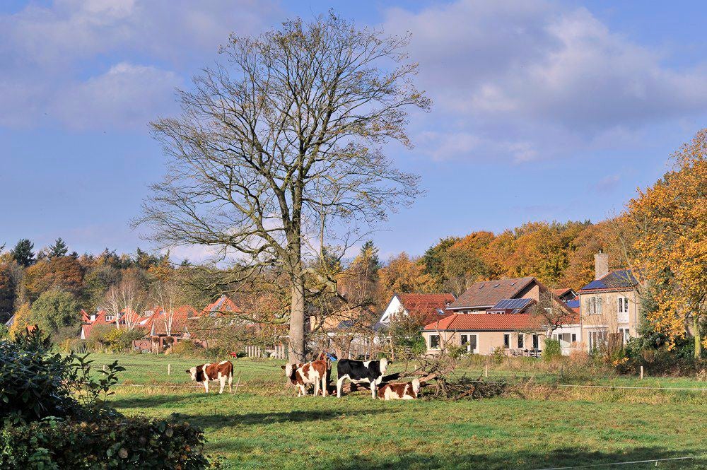 Heiligerbergerbeek_2017_006.jpg