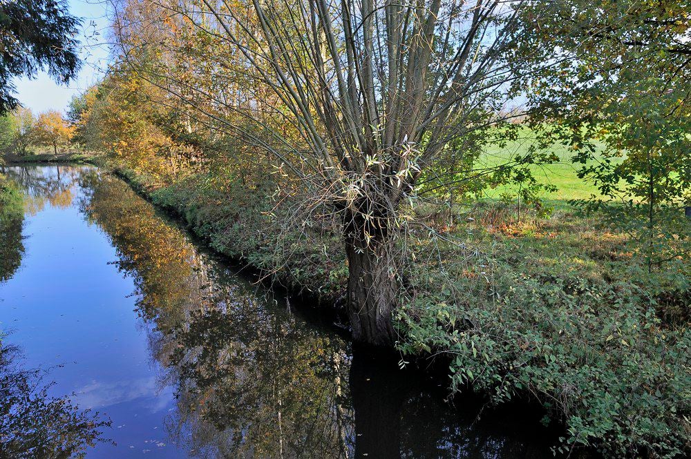 Heiligerbergerbeek_2017_010.jpg