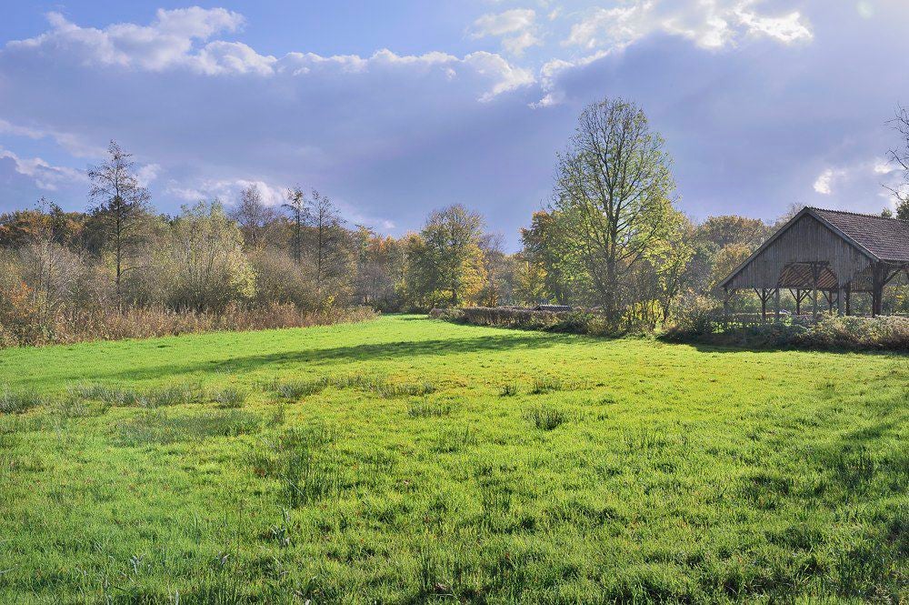 Heiligerbergerbeek_2017_012.jpg