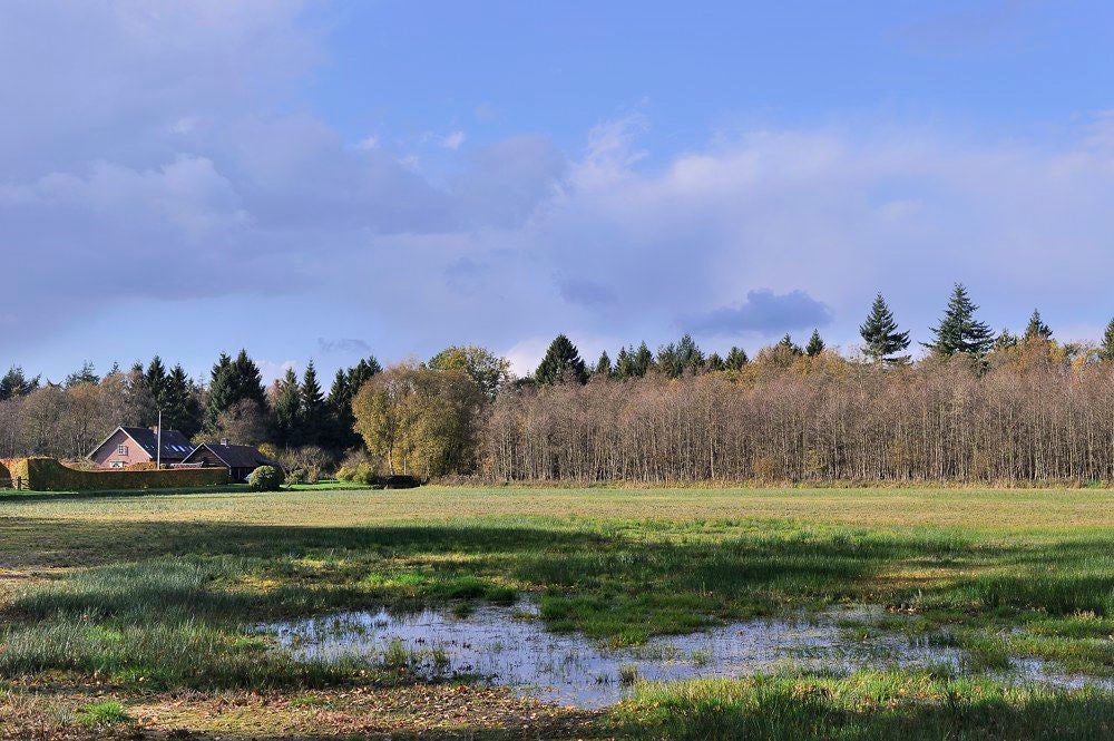 Heiligerbergerbeek_2017_014.jpg