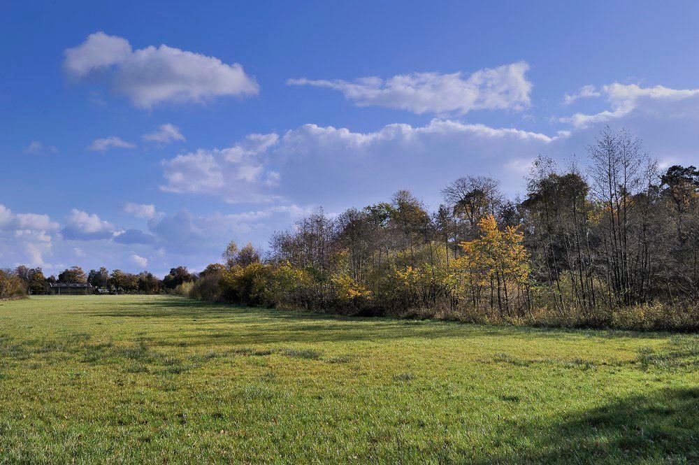 Heiligerbergerbeek_2017_016.jpg
