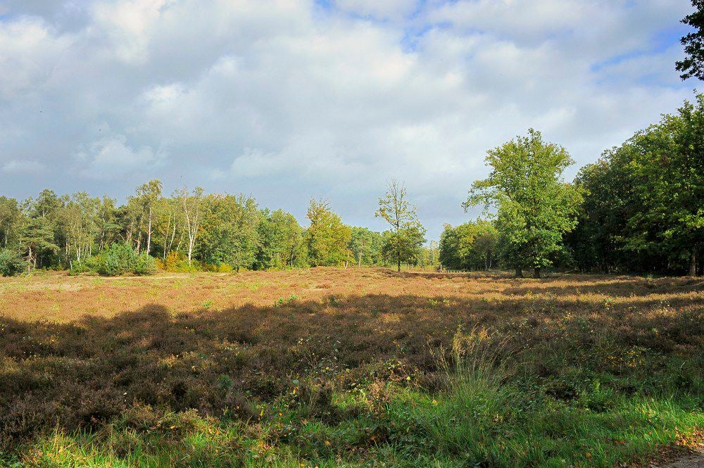Herfst_2017_103.jpg