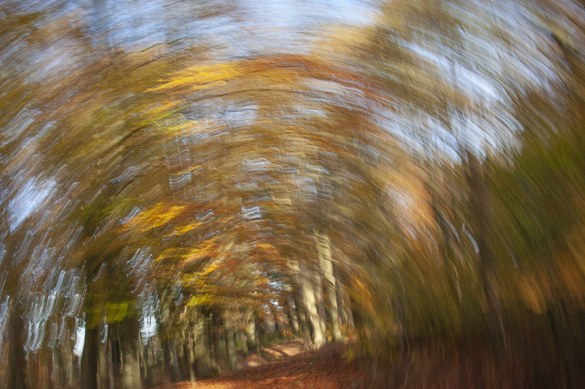 Icm Fotografie 1