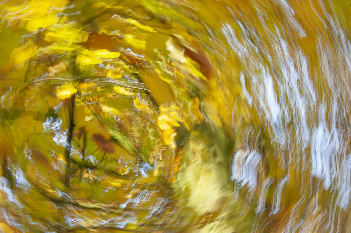 Herfst_2019_032.jpg