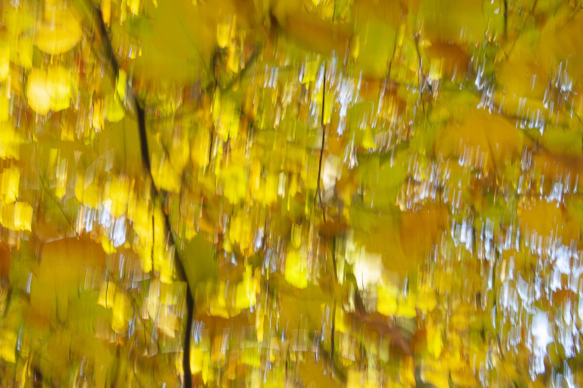 Herfst_2019_034.jpg
