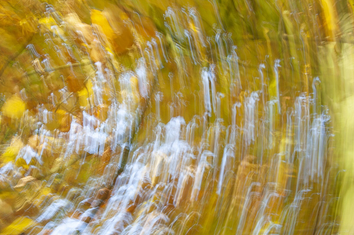 Herfst_2019_036.jpg
