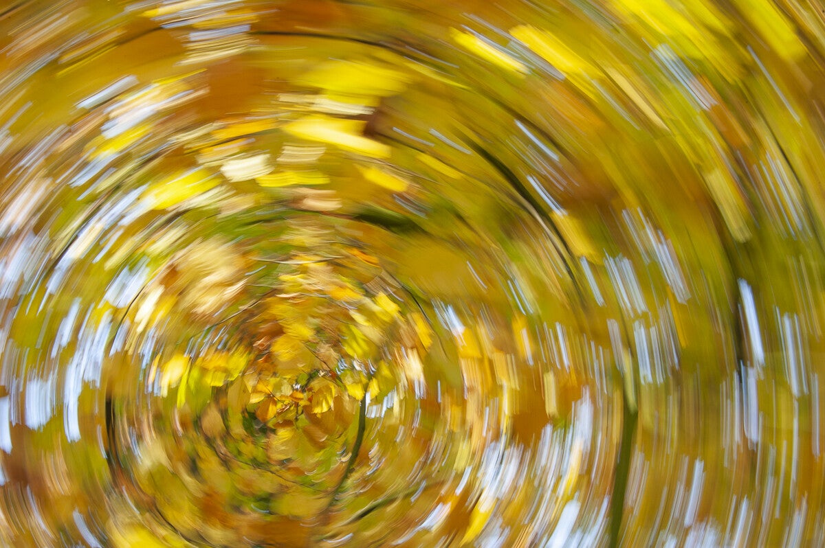 Herfst_2019_038.jpg