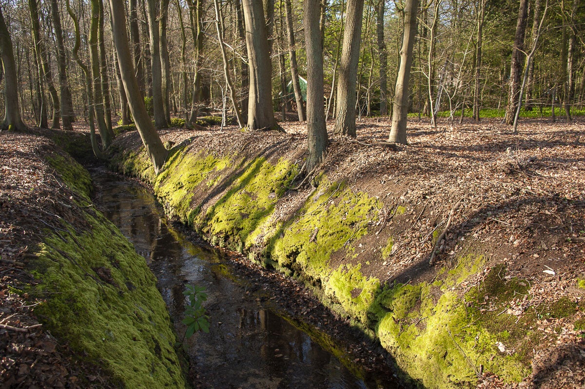 Hoenwaardsepad_027-1.jpg