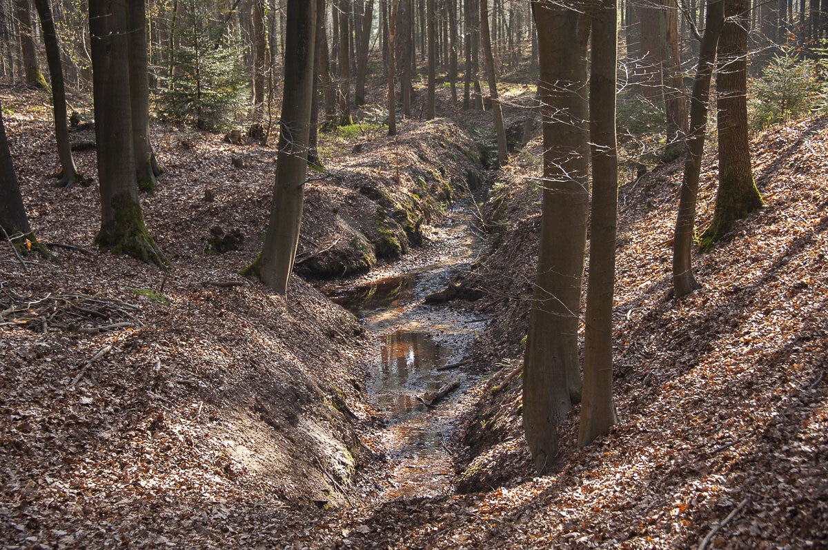 Hoenwaardsepad_037-1.jpg