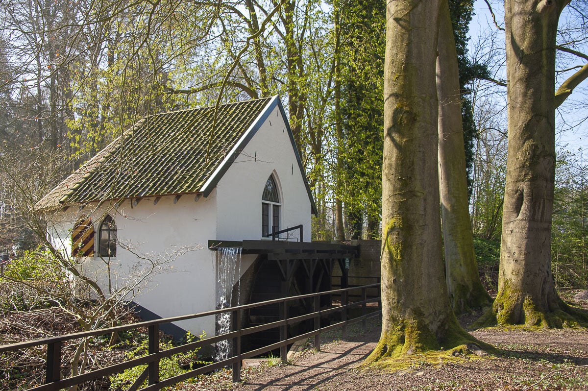 Hoenwaardsepad_044-2.jpg