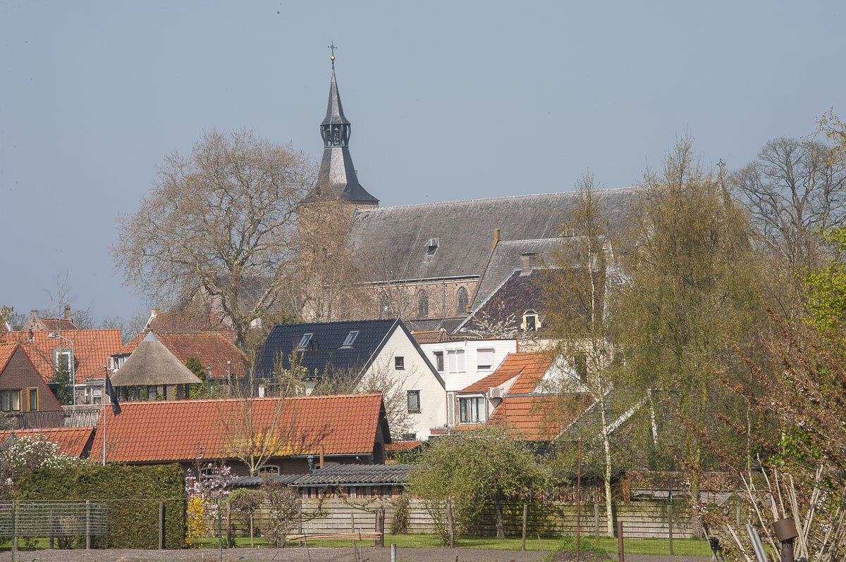 Hoenwaardsepad_052-1.jpg