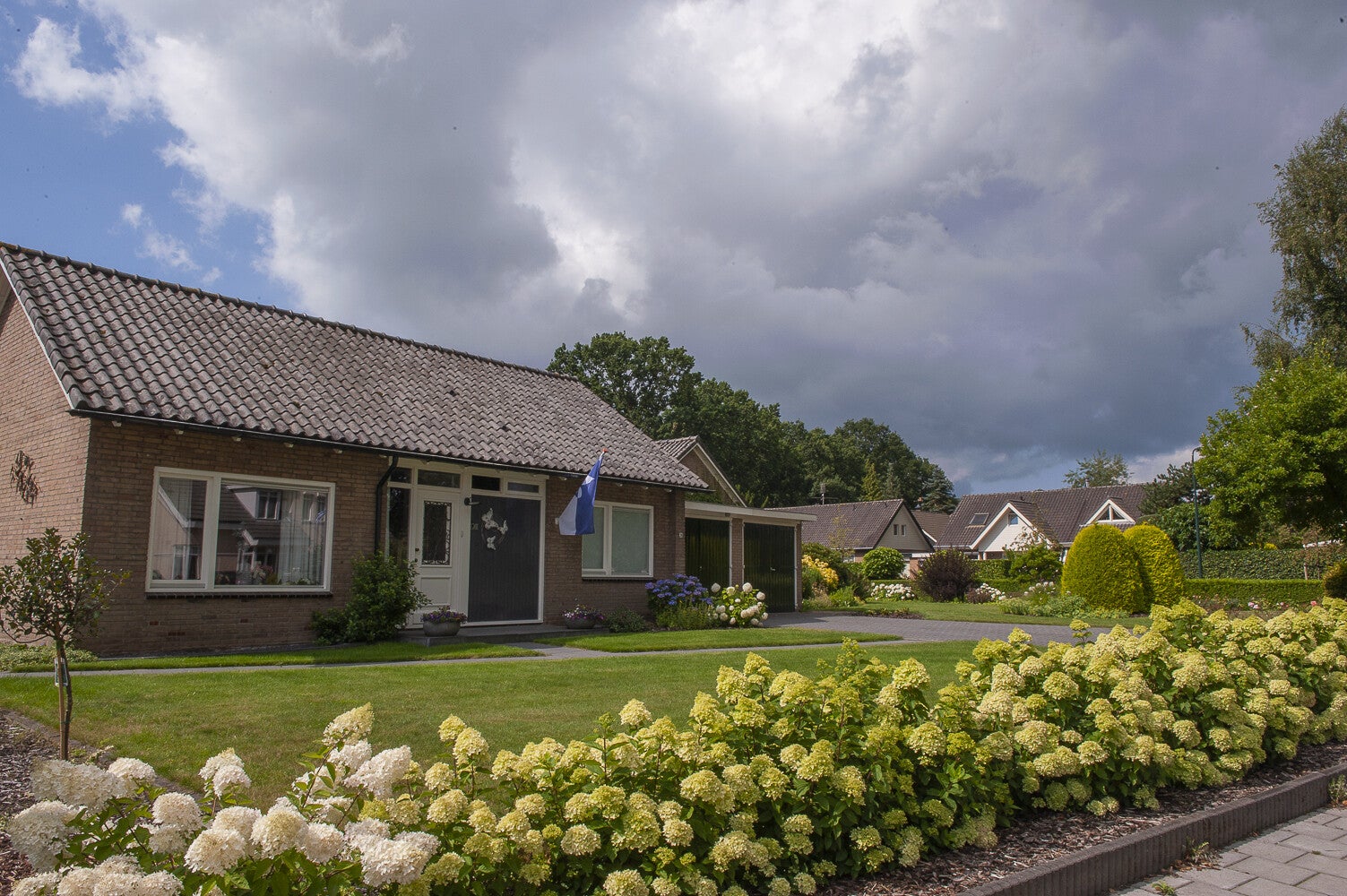 Holevoetlaan_0901.jpg