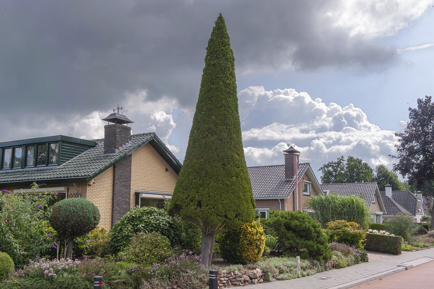 Holevoetlaan_0907.jpg