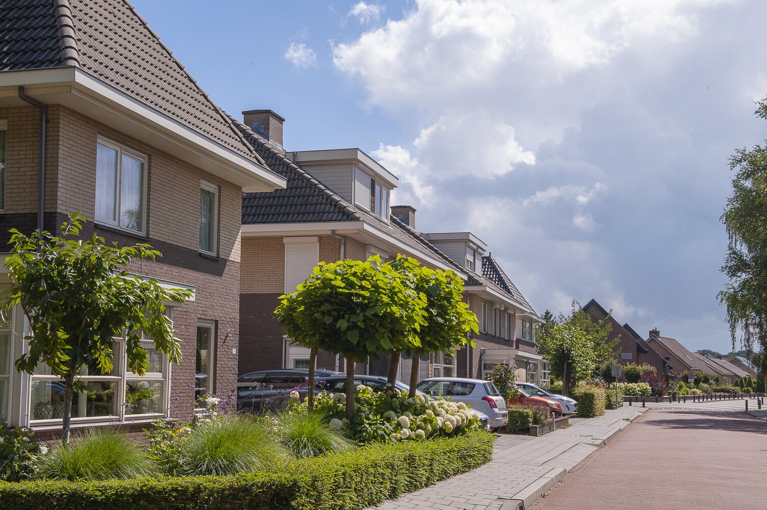 Holevoetlaan_0965.jpg