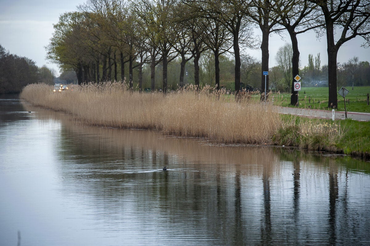 Holhorsterpad Beemte 02 07 2016