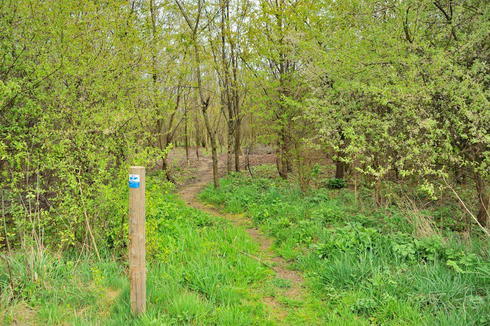 Holhorsterpad_013.jpg