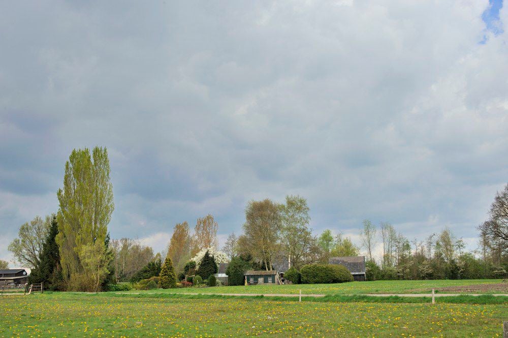 Holhorsterpad_016.jpg