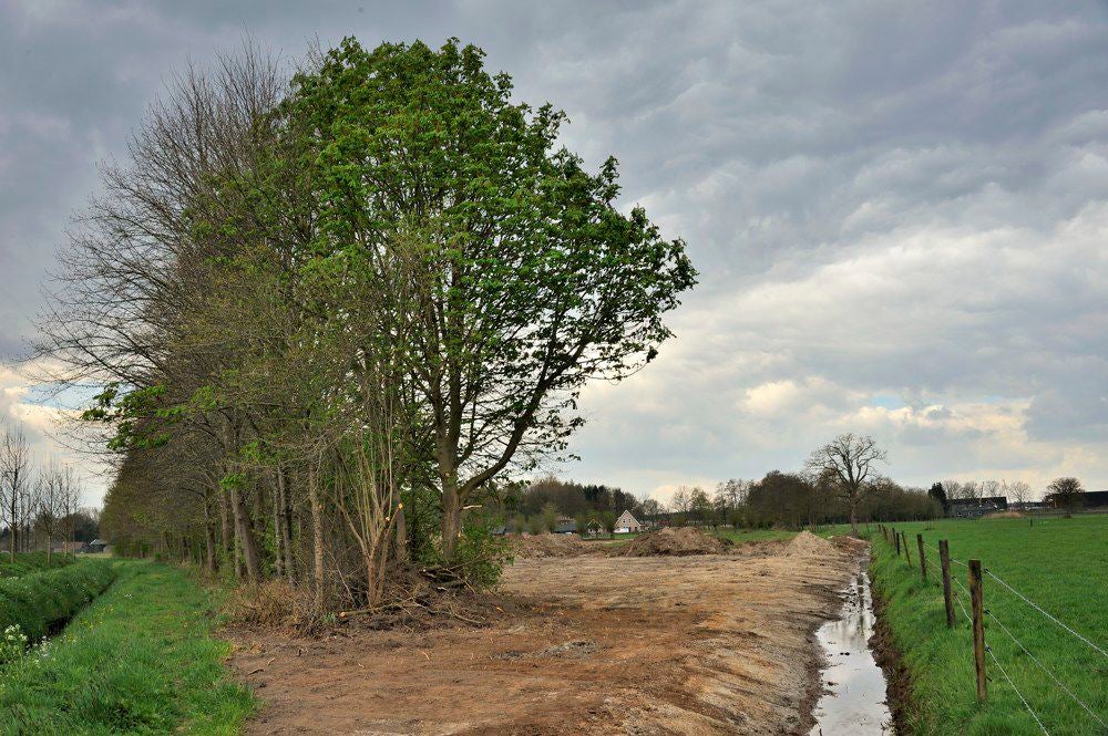 Holhorsterpad_026.jpg