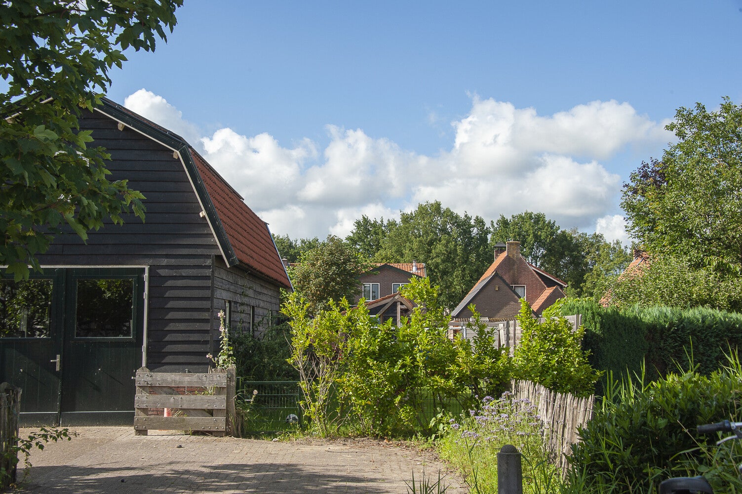 Holleweg_9943-3.jpg
