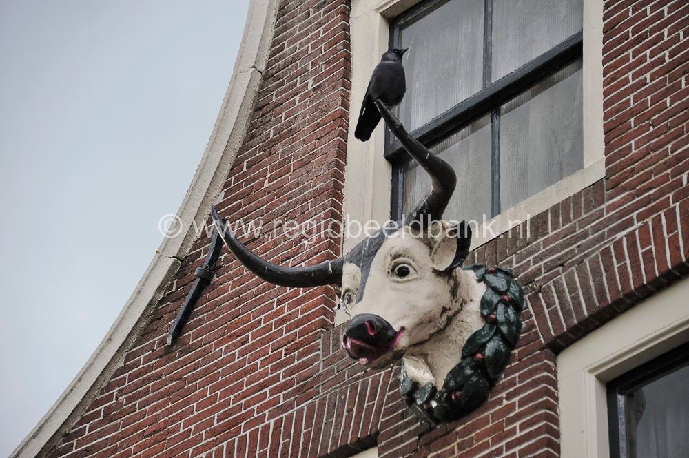 Hoorn-Enkhuizen_036.jpg