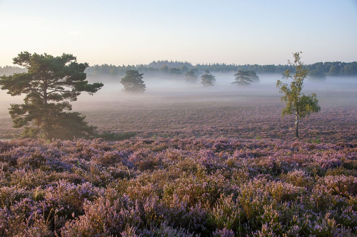 Horsthoekerpad Heerde 30 10 2015