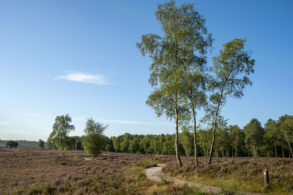 Horsthoekerpad_010.jpg
