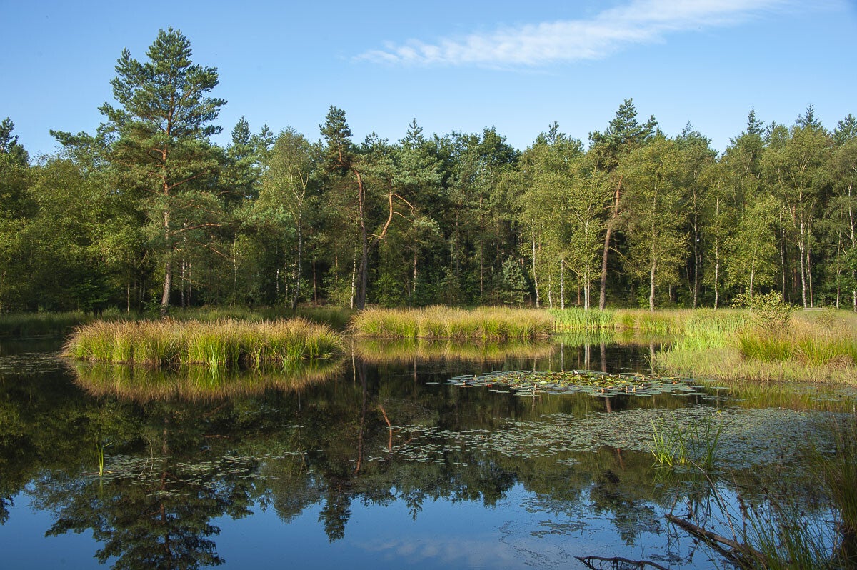 Horsthoekerpad_016.jpg