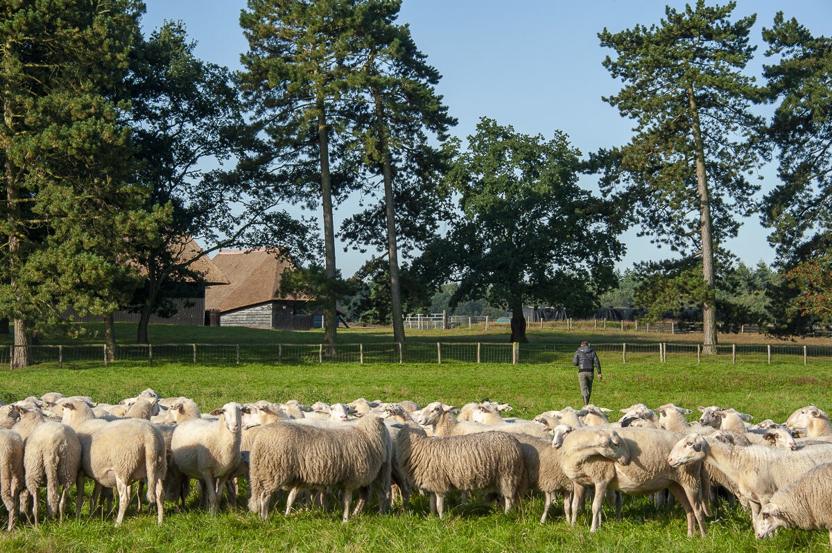 Horsthoekerpad_029.jpg