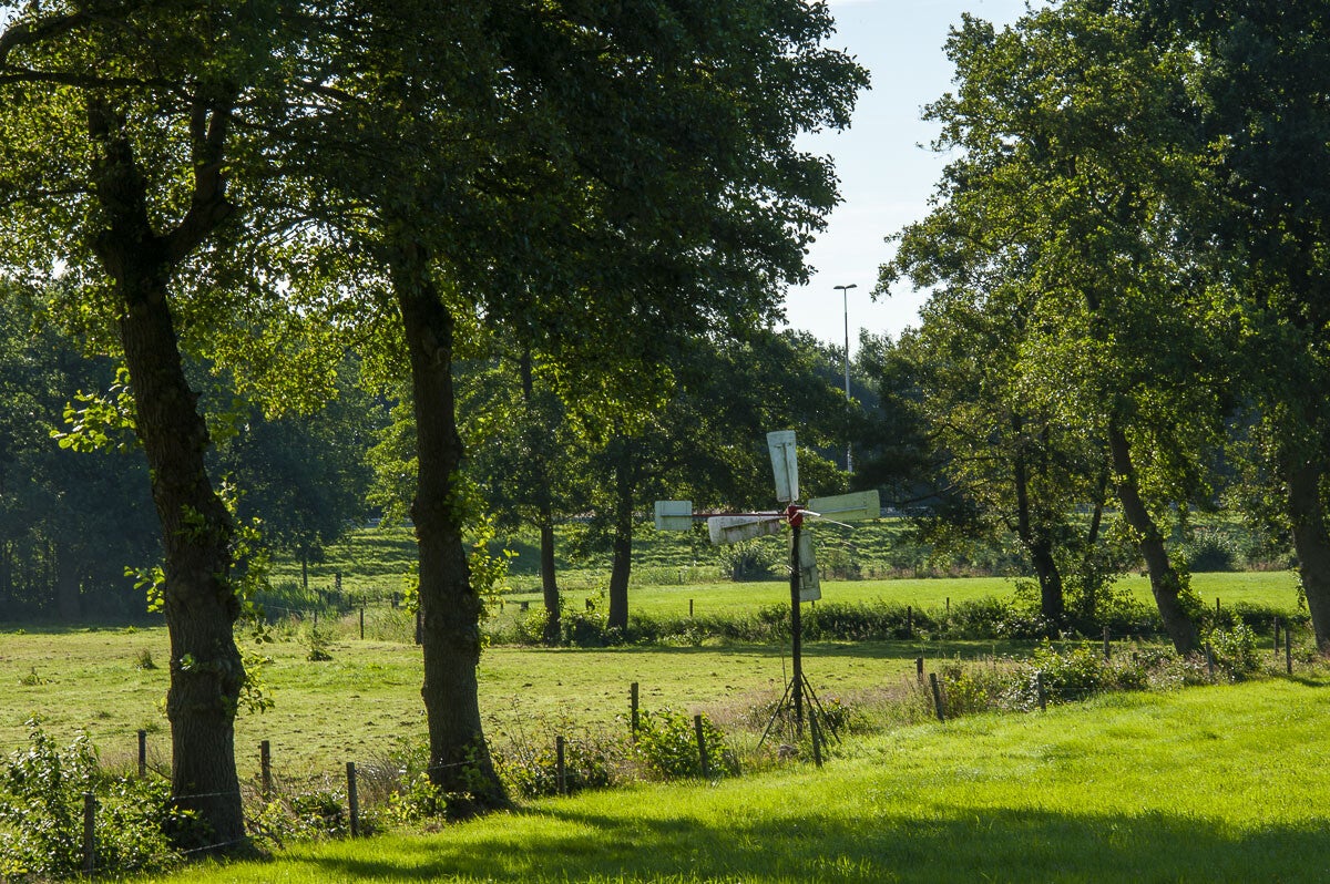 Horsthoekerpad_039.jpg