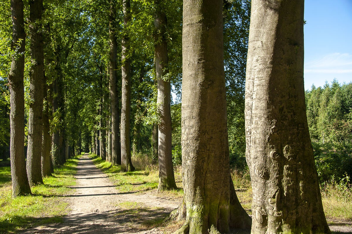 Horsthoekerpad_043.jpg