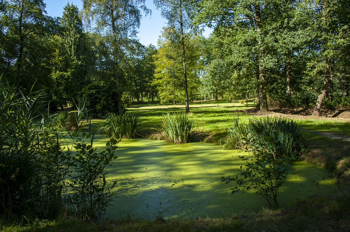 Horsthoekerpad_046.jpg