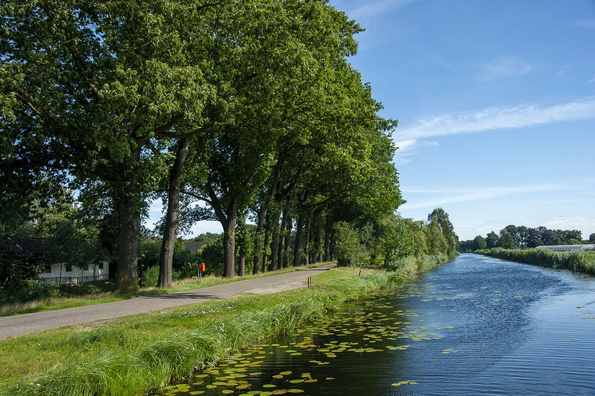 Horsthoekerpad_059.jpg
