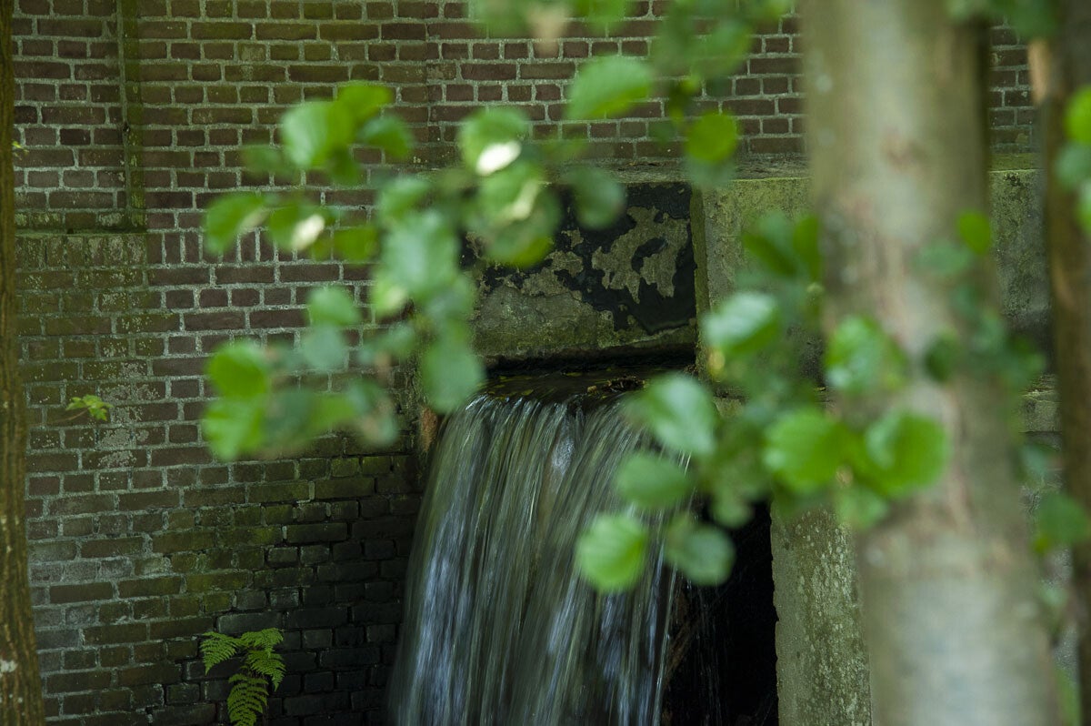 Horsthoekerpad_063.jpg