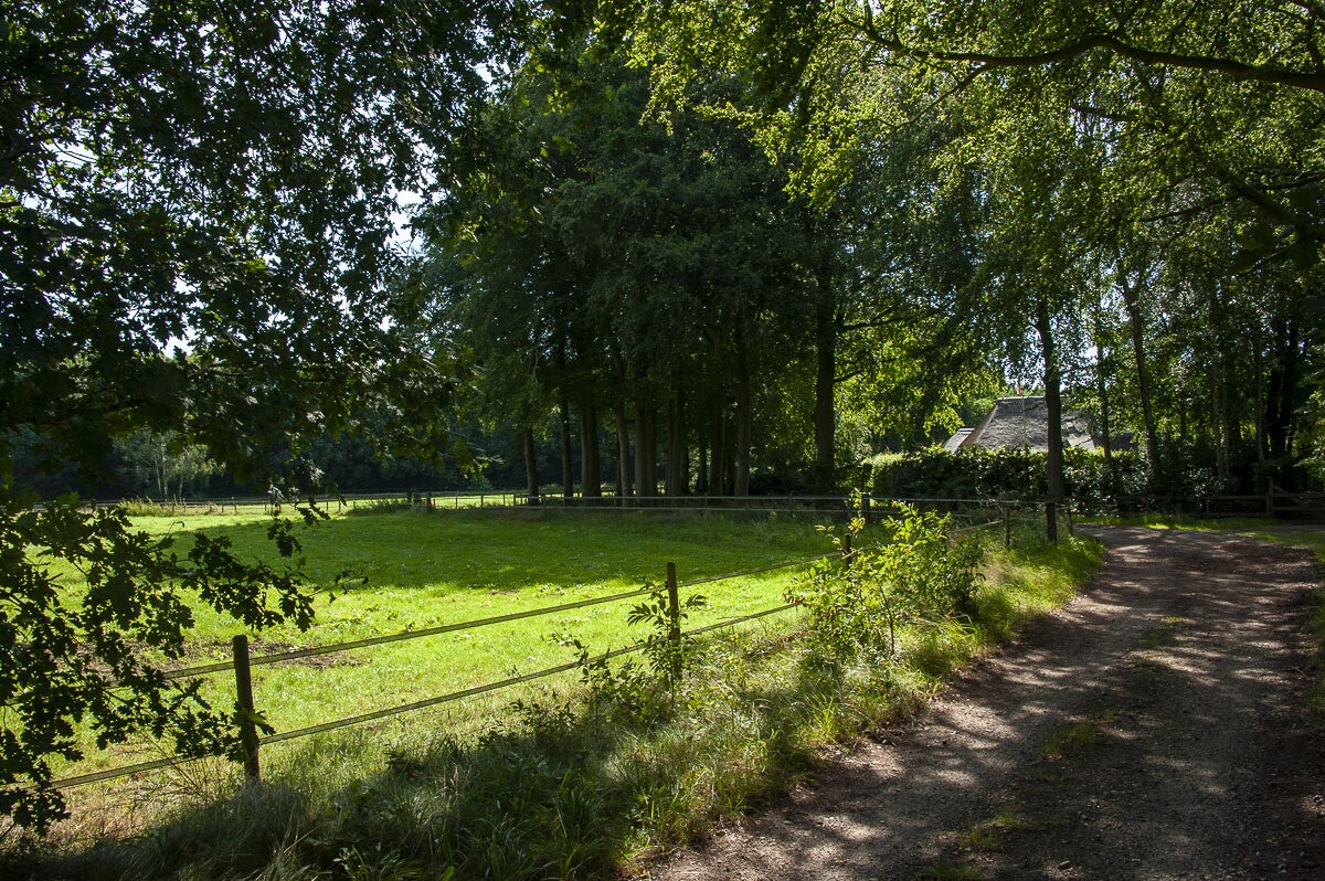 Horsthoekerpad_069.jpg