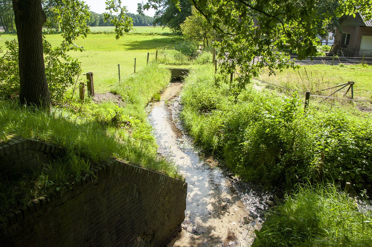 Horsthoekerpad_071.jpg