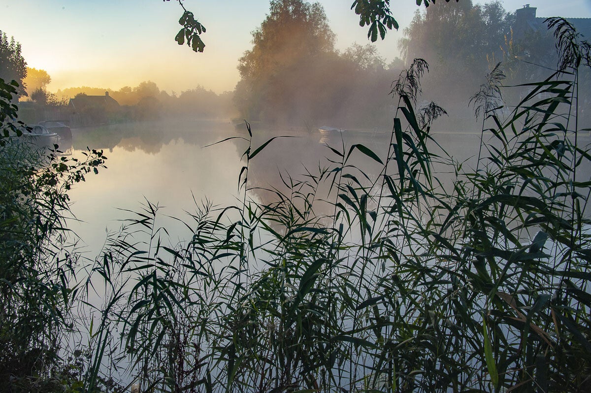 Houtdijkenpad Kamerik 16 07 2014