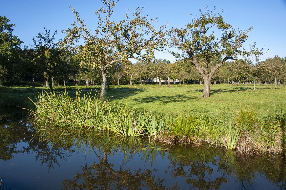 Houtdijkenpad_035.jpg