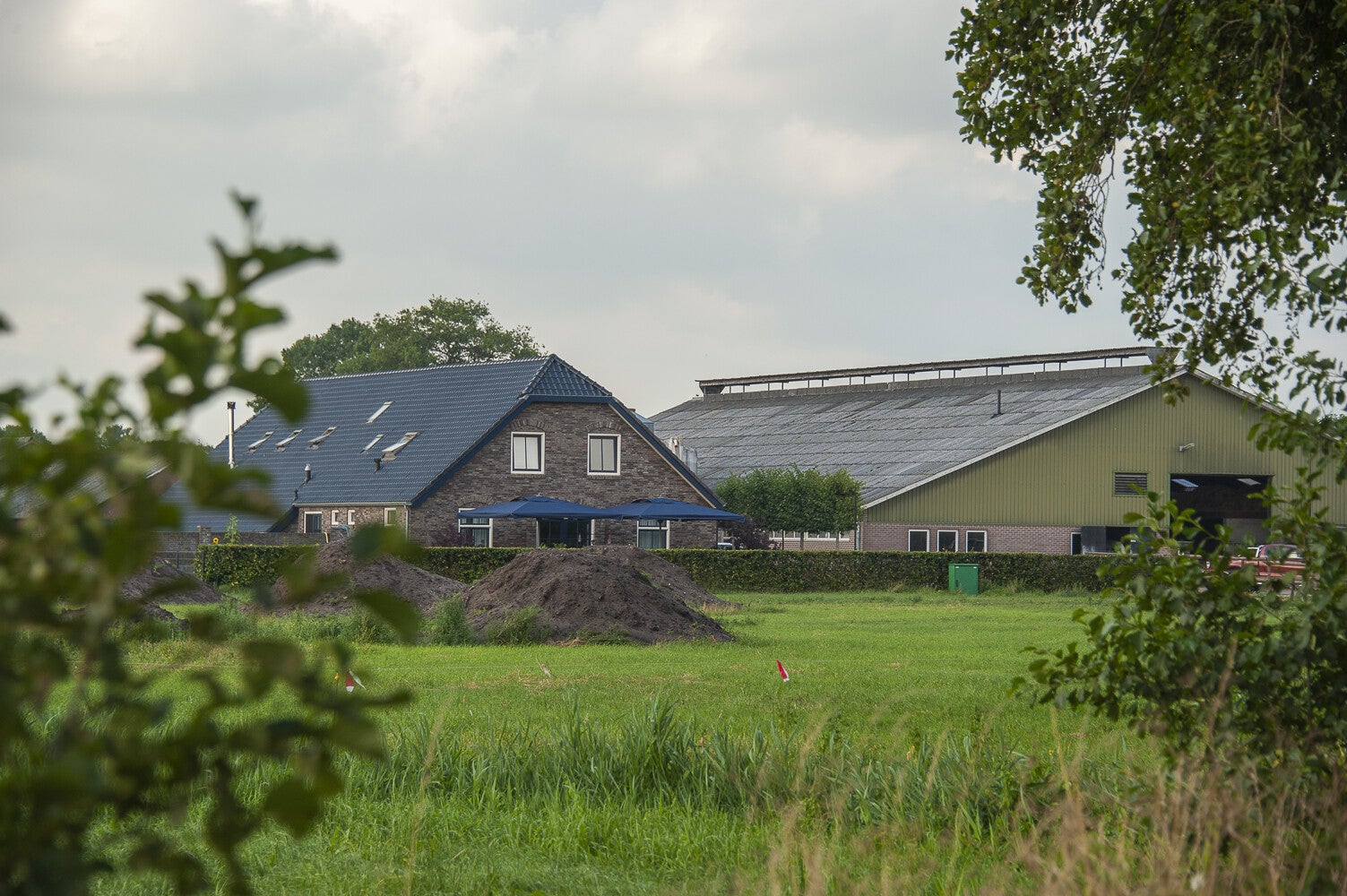 Huigenbosch_2055-1.jpg