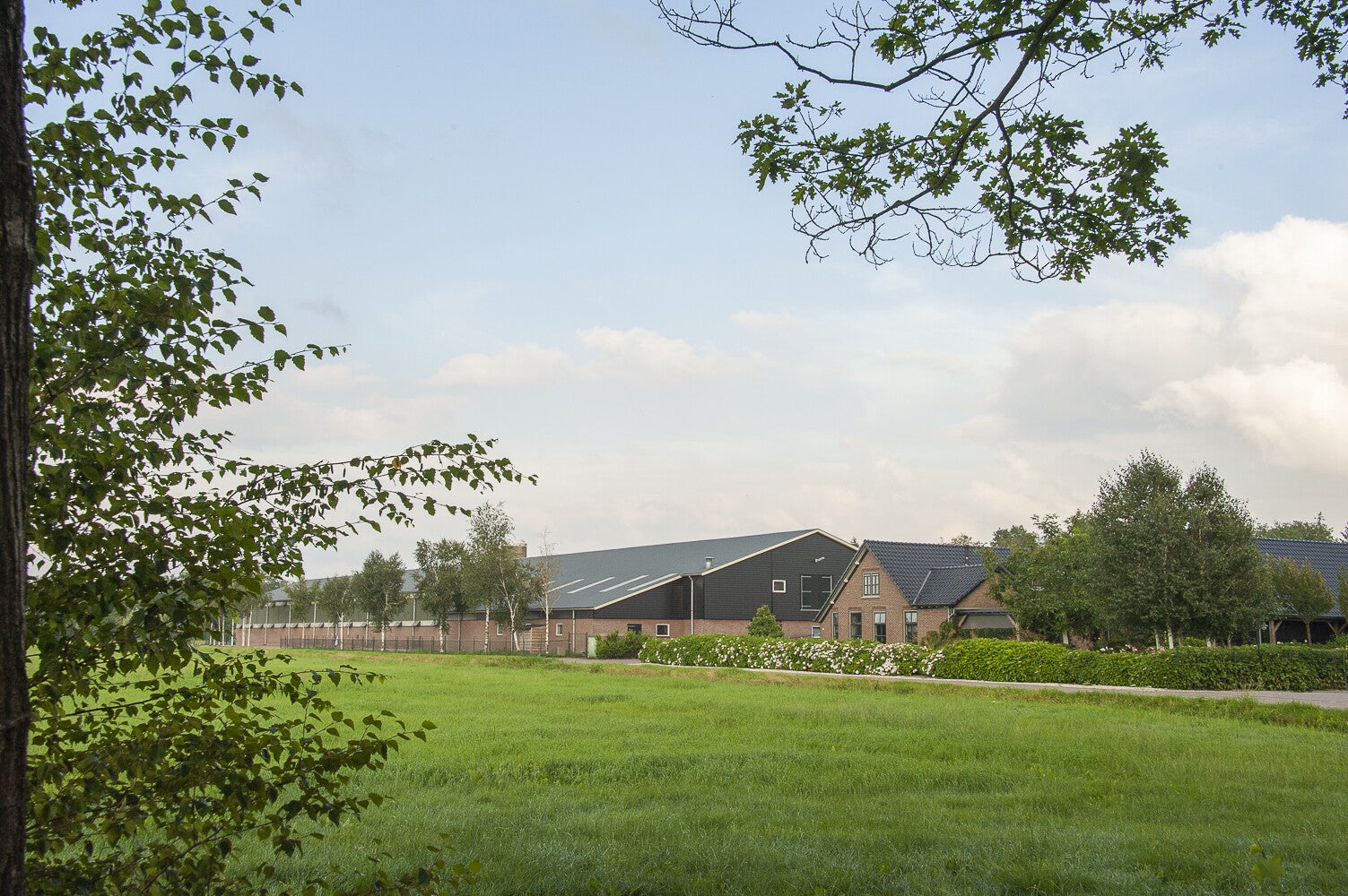 Huigenbosch_2059-1.jpg