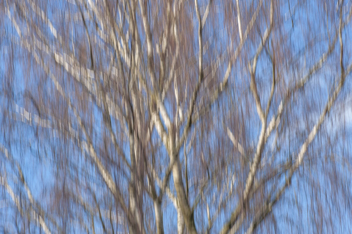 ICM_004.jpg